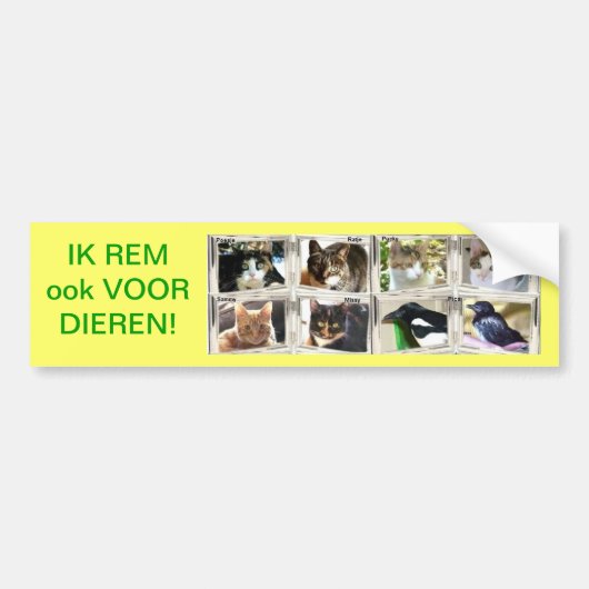 IK REM ook VOOR DIEREN! バンパーステッカー (正面)