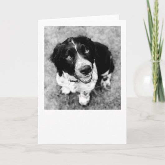 IKEスマイルカード カード (正面)