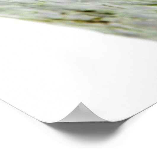 Ikura (Salmon Roe) Gunkan Maki Sushi ポスター (角)