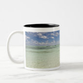 Ile Aux Cerf, 2の人気があるほとんどの日帰り ツートーンマグカップ (左)