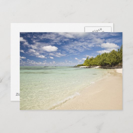 Ile Aux Cerf, 2の人気があるほとんどの日帰り ポストカード (正面/裏面)