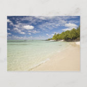 Ile Aux Cerf, 2の人気があるほとんどの日帰り ポストカード (正面)