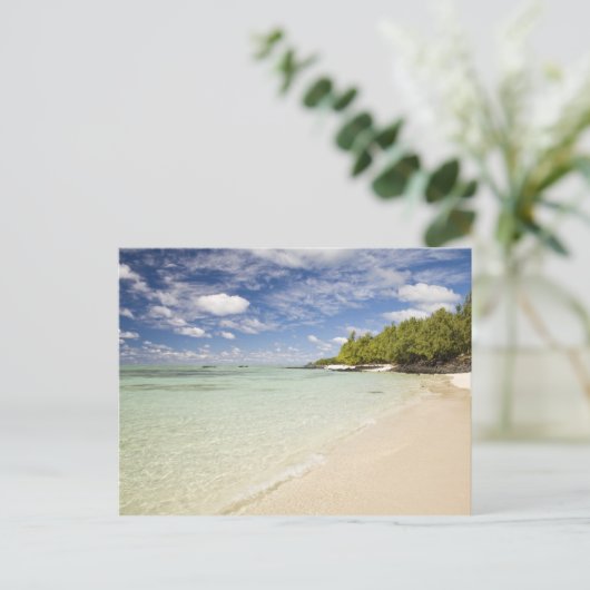 Ile Aux Cerf, 2の人気があるほとんどの日帰り ポストカード (スタンド正面)