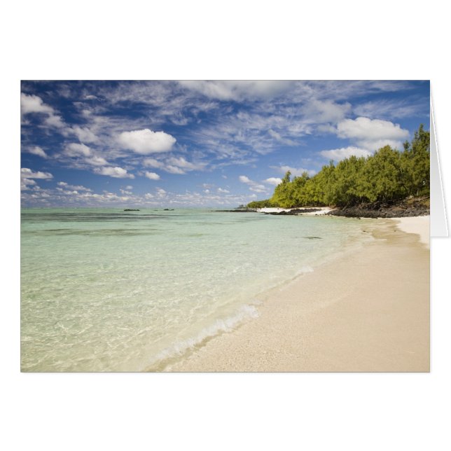 Ile Aux Cerf、2人のカップルのための人気の日帰り旅行 (正面横)