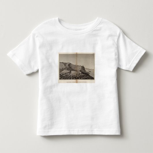 Ile de Staffa トドラーTシャツ (正面)