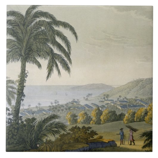 Ilheus (色の版木、銅版、版画) タイル (正面)