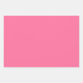 Illustrated Coquette Bow Modern Mint Gift Wrap ラッピングペーパーシート (正面3)