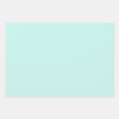 Illustrated Coquette Bow Modern Mint Gift Wrap ラッピングペーパーシート (正面2)