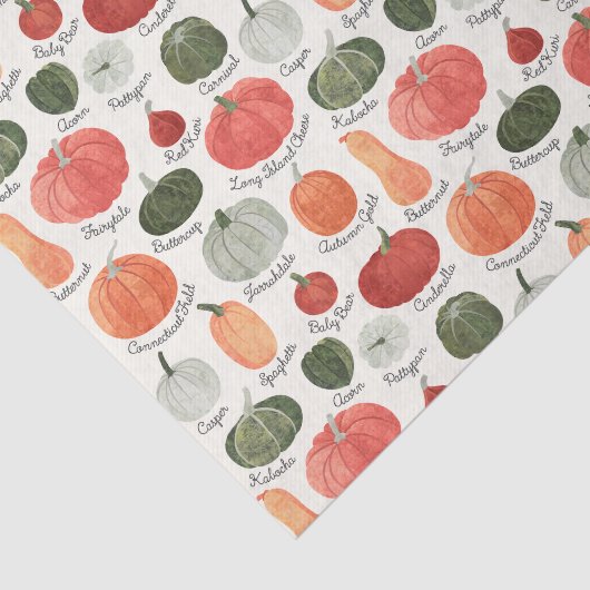 Illustrated Pumpkin Types 薄葉紙 (詳細)