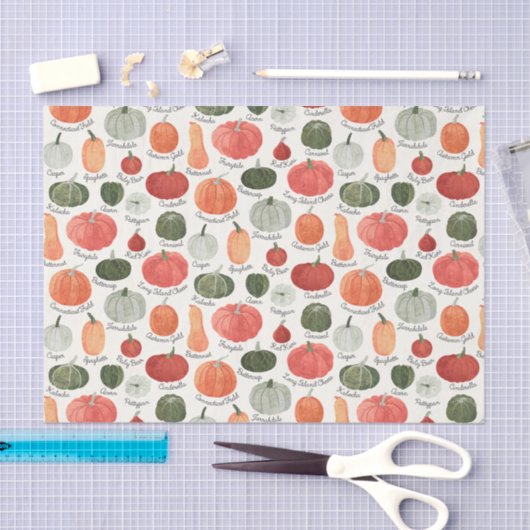 Illustrated Pumpkin Types 薄葉紙 (クラフト)