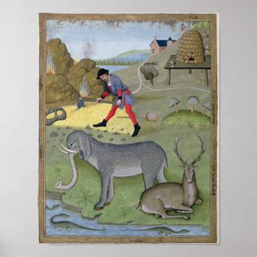 Illustration from the 'Book of Simple ポスター (正面)