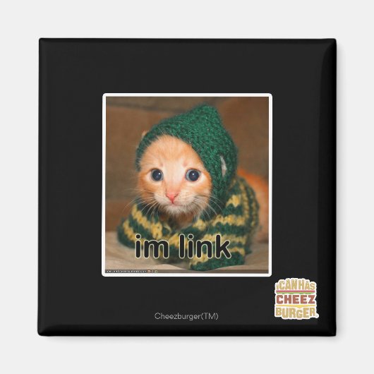 imリンク マグネット (正面)