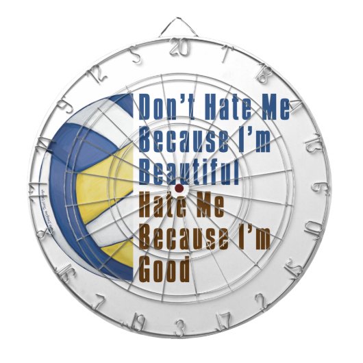 Im美しいIm良いバレーボール ダーツボード (正面)