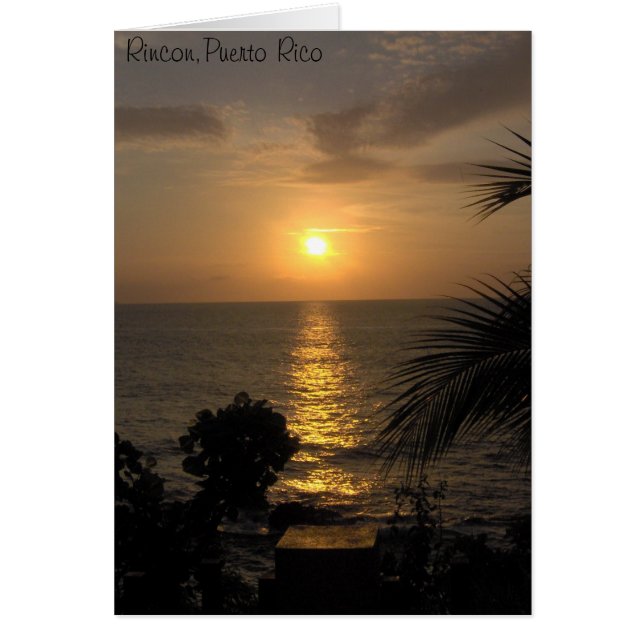 IM000881、Rincon、プエルトリコ (正面)