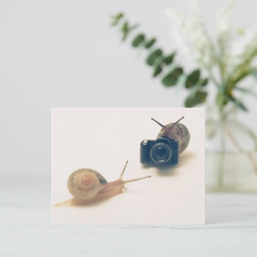 I'm a photographer. ポストカード (スタンド正面)