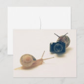 I'm a photographer. ポストカード (正面/裏面)