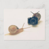 I'm a photographer. ポストカード (正面)