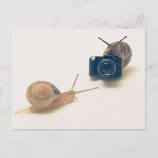 I'm a photographer. ポストカード (正面)