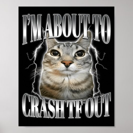 I'm About To Crash Out Funny Staring Cat Brainrot  ポスター (正面)