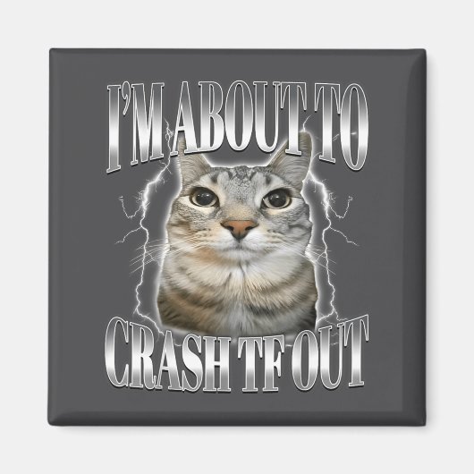 I'm About To Crash Out Funny Staring Cat Brainrot マグネット (正面)