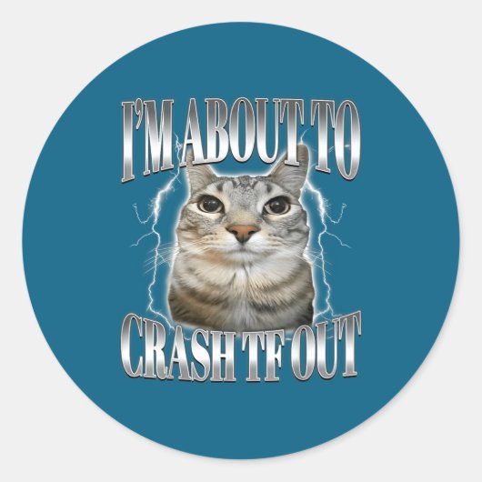 I'm About To Crash Out Funny Staring Cat Brainrot  ラウンドシール (正面)