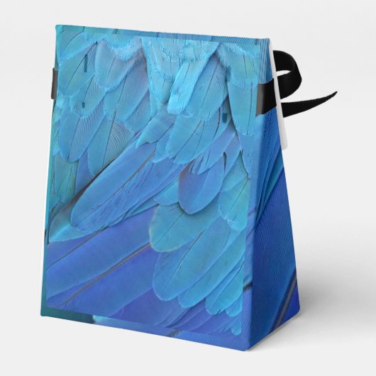 I'm blue - Macaw feathers フェイバーボックス (裏面サイド)