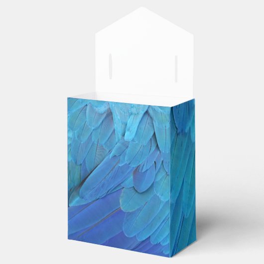 I'm blue - Macaw feathers フェイバーボックス (オープン)