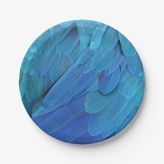 I'm blue - Macaw feathers ペーパープレート (正面)