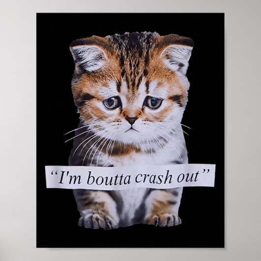 I'm Boutta Crash Out Cat Funny Meme Cat Pet Lover  ポスター (正面)