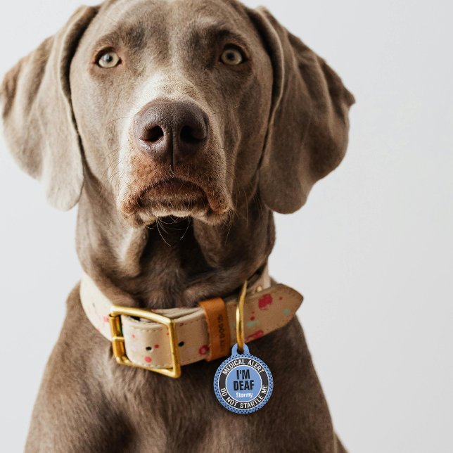 I'm Deaf Custom Text Pet Medical Alert Blue Black ペット　ネームタグ (クリエイターアップロード済み)