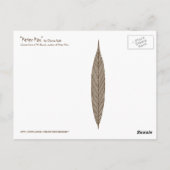 I'm Joyはがき ポストカード (裏面)