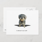 I'm little but I know stuff. ポストカード (正面/裏面)