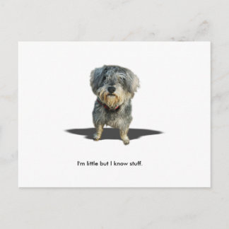 I'm little but I know stuff. ポストカード