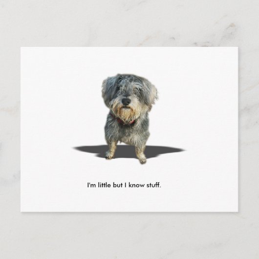 I'm little but I know stuff. ポストカード (正面)
