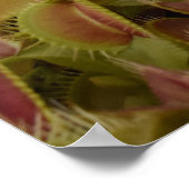 I'm not sure I like extreme sport. ポスター (角)