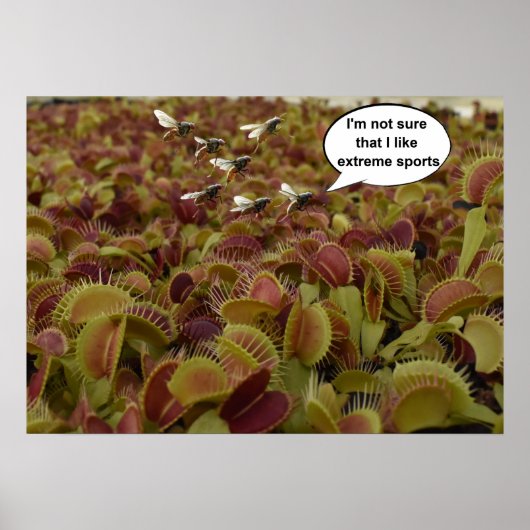 I'm not sure I like extreme sport. ポスター (正面)