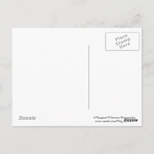 I'm Perfect Chipmunk引用文はがき ポストカード (裏面)