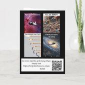 I'm sorry...banana skin  カード (裏面)