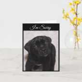 I'm Sorry Card - Mastiff Puppy カード (黄色い花)