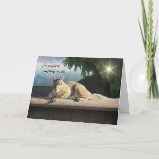 I'm sorry for the way things were left - Apology カード