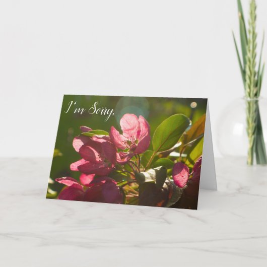 I'm Sorry For Your Loss, Card カード (正面)