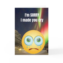 I'm sorry I made you cry.