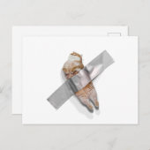 I'm the best banana! ポストカード (正面/裏面)