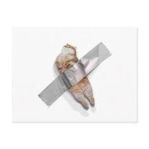 I'm the best banana!