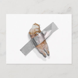 I'm the best banana! ポストカード