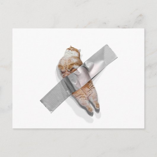 I'm the best banana! ポストカード (正面)