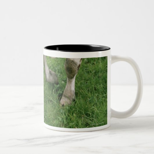 ima28991 ツートーンマグカップ (右)