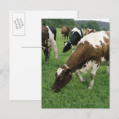 ima28991 ポストカード (正面/裏面)