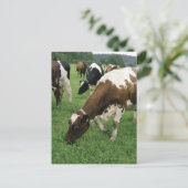 ima28991 ポストカード (スタンド正面)