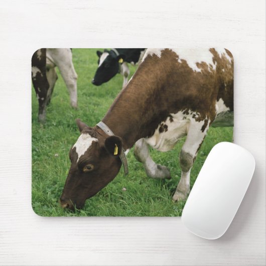 ima28991 マウスパッド (マウス)